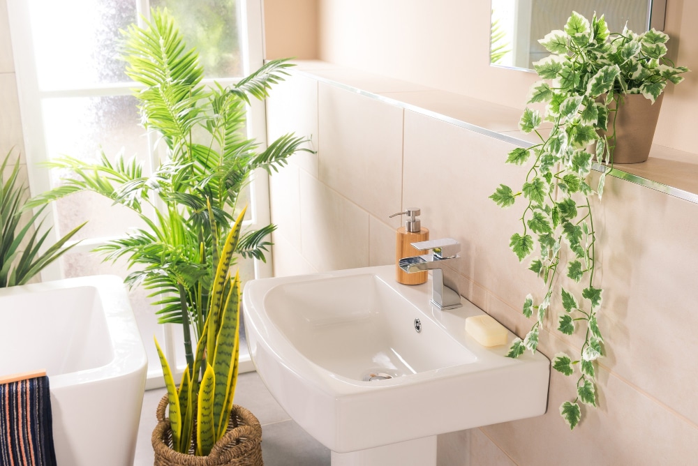 baño con plantas